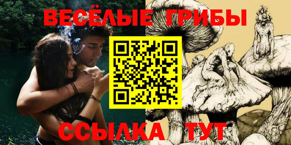Мичуринск  Псилоцибиновые грибы мицелий  Вход с VPN  Галлюциногенные грибы Psilocybe 